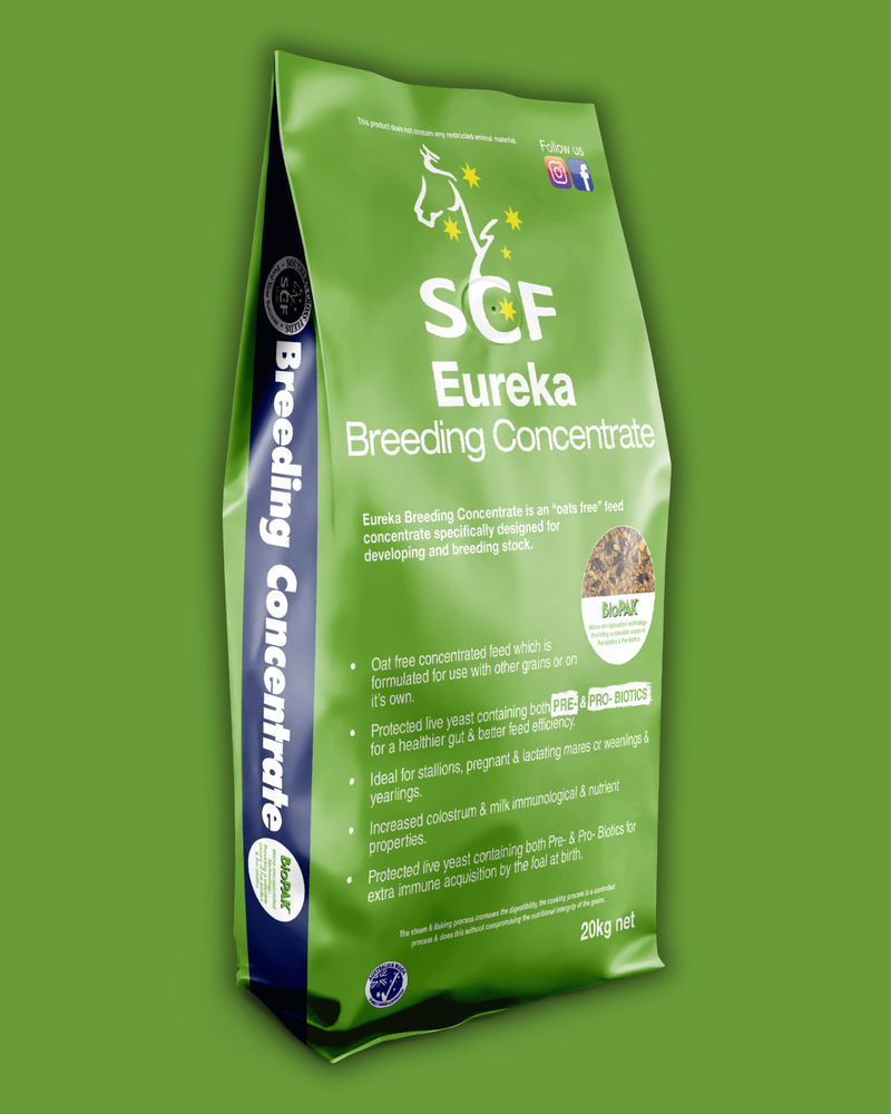 Southern Cross Feeds Eureka Breeding Concentrate horse feed, 20kg bag
