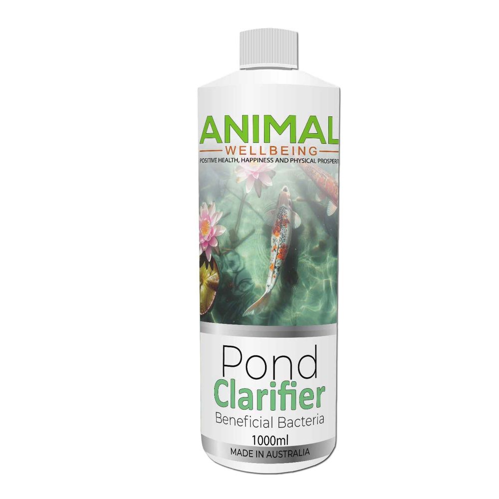 Animal Wellbeing Pond Clarifier Beneficial Bacteria 1L bottle | PeekAPaw Pet Supplies