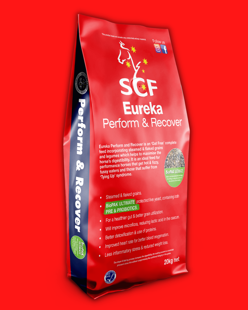 Southern Cross Feeds Eureka Perform & Recover horse feed, 20kg bag