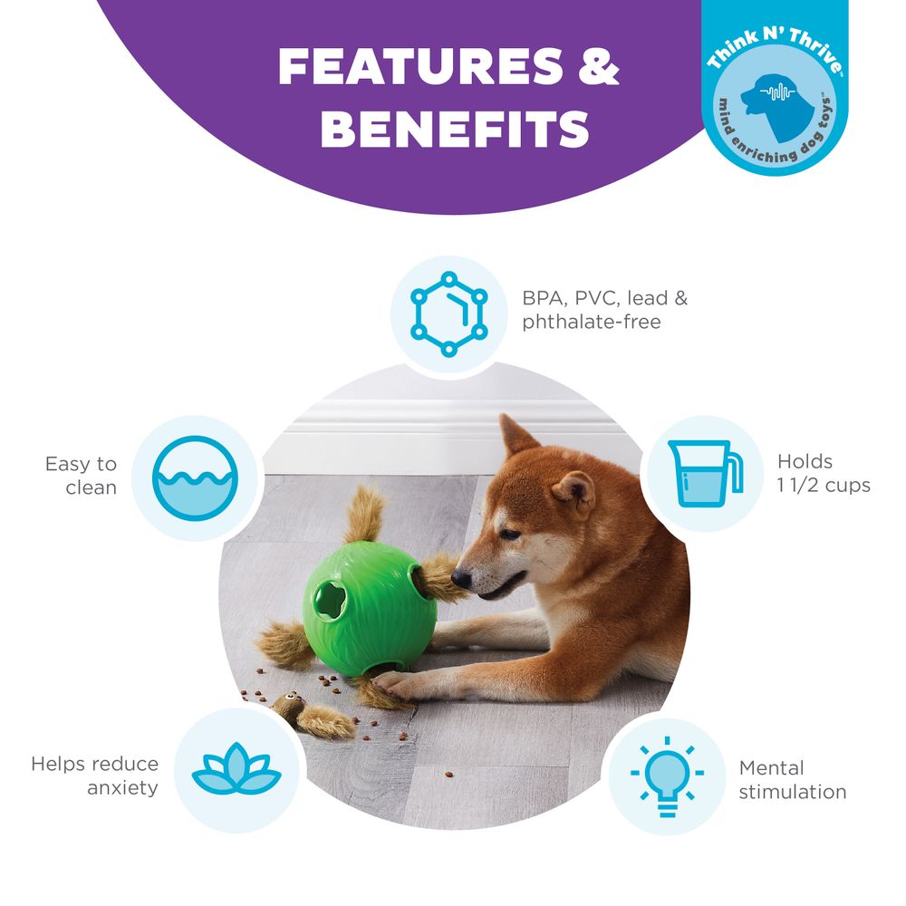 Nina Ottosson Dog Snuffle N' Treat Ball Puzzle - Level 2 - Green | PeekAPaw Pet Supplies