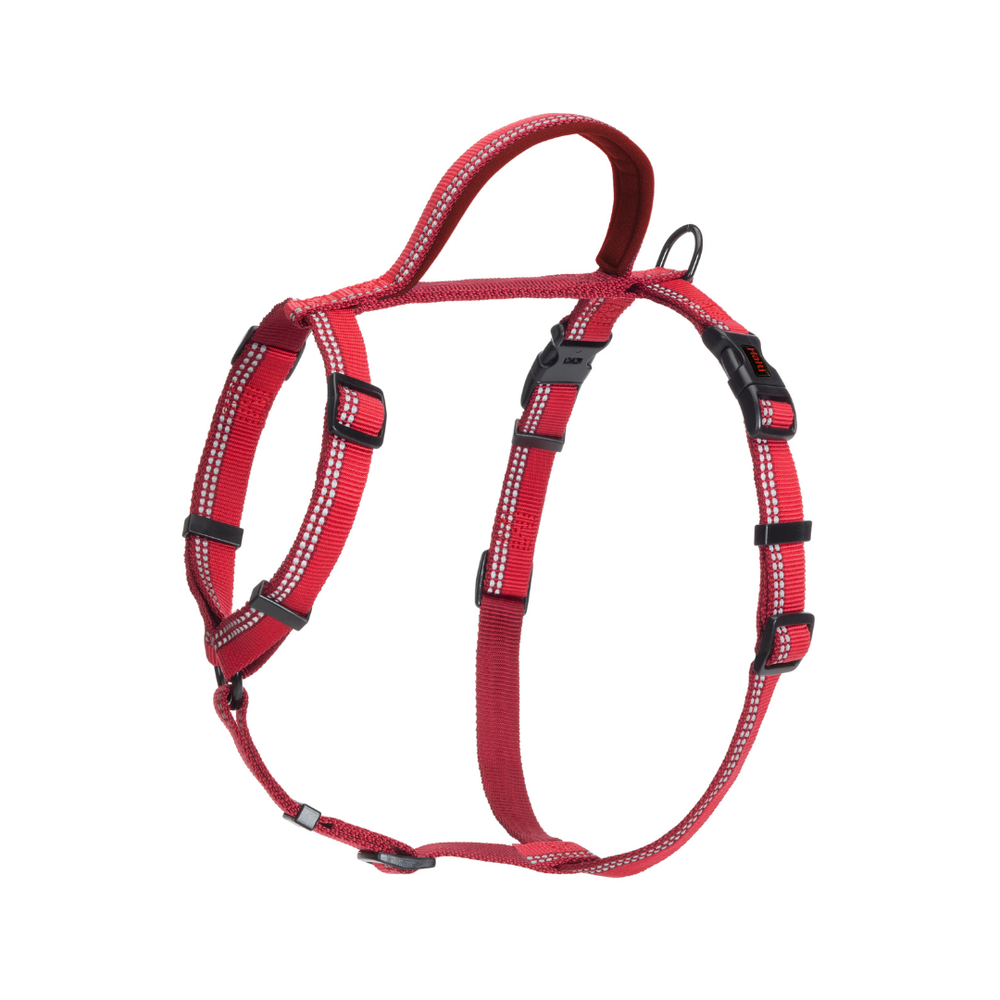 Halti Walking Harness - Medium Red | PeekAPaw Pet Supplies