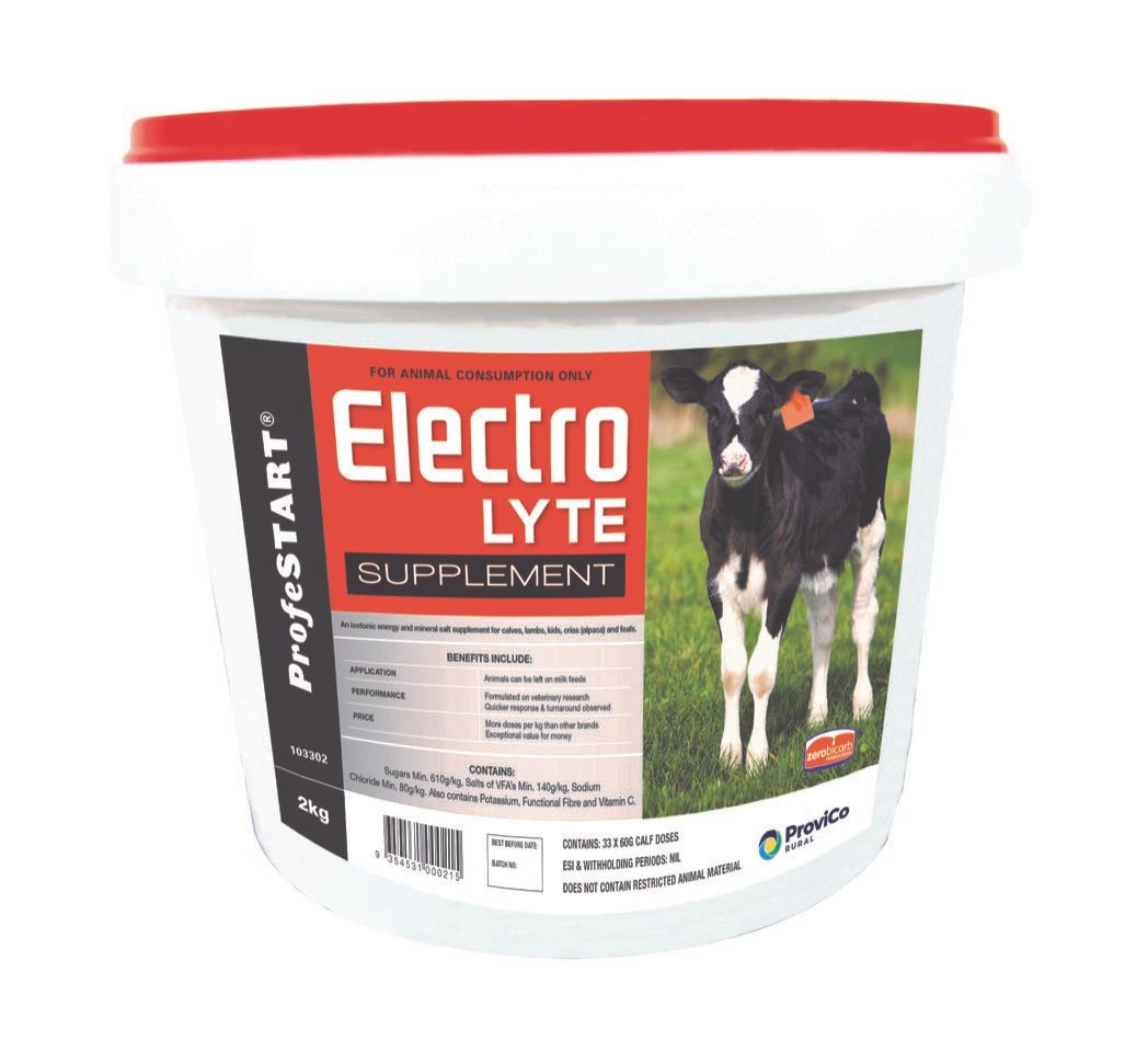 ProviCo ProfeSTART Electrolyte Powder 2kg