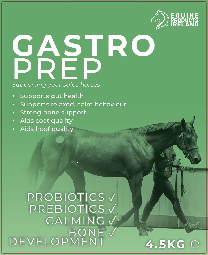 Equine Products Ireland Gastro Prep 4.5kg tub
