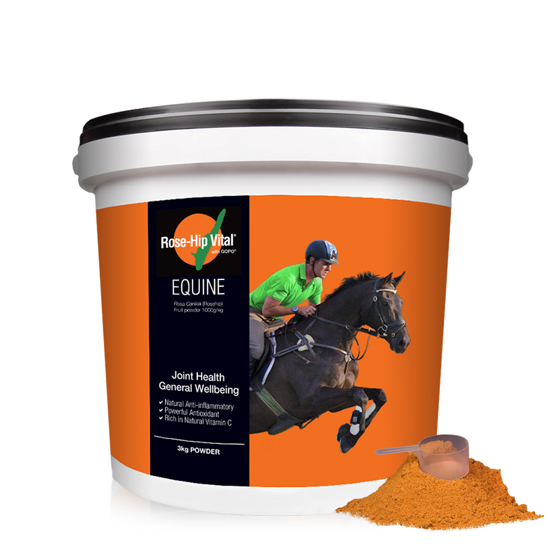 Rose-Hip Vital Equine Powder for Horses