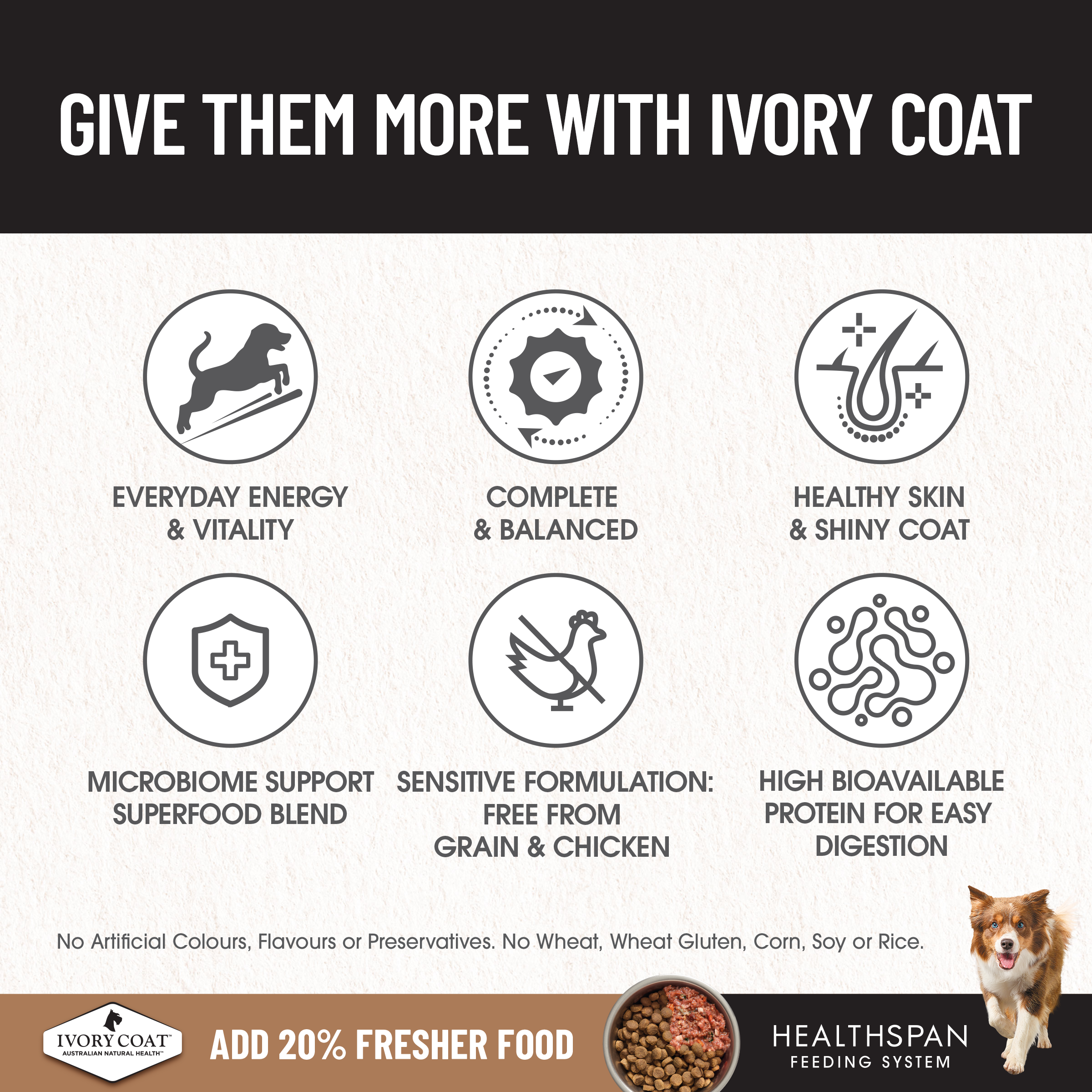 Ivory Coat Grain Free Adult All Breeds Dry Dog Food Salmon & Ocean Fish product detail 1