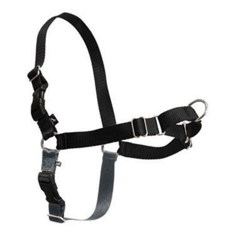 Gentle Leader Easy Walk dog harness in black, Small/Medium size pack