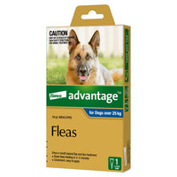 Advantage Flea Treatment for Dogs over 25kg Blue – 1 pipette pack, front