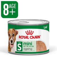 Royal Canin Mini Ageing 8+ Loaf texture close up