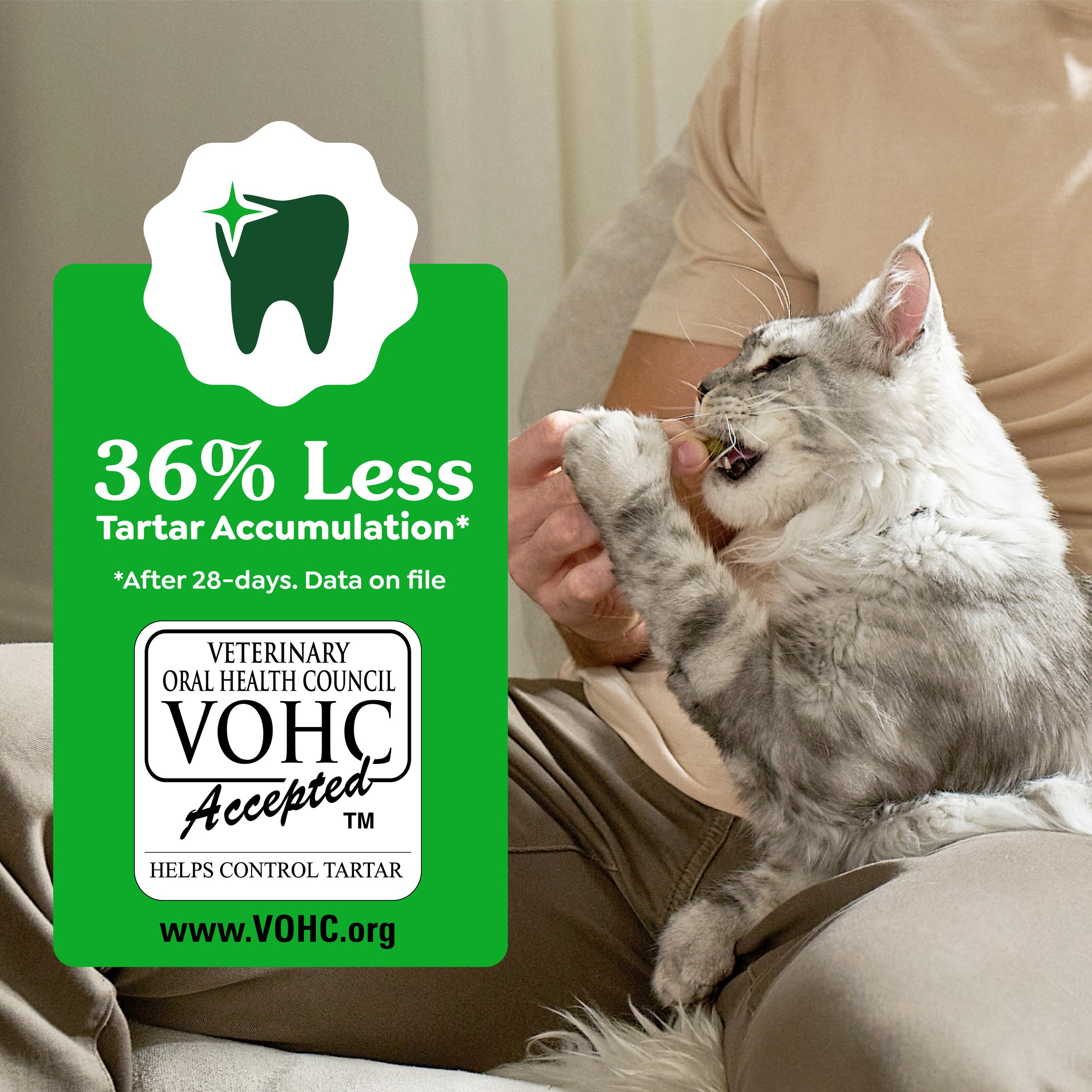 GREENIES Feline Dental Cat Treat Oven-Roasted Chicken Flavour product detail 2