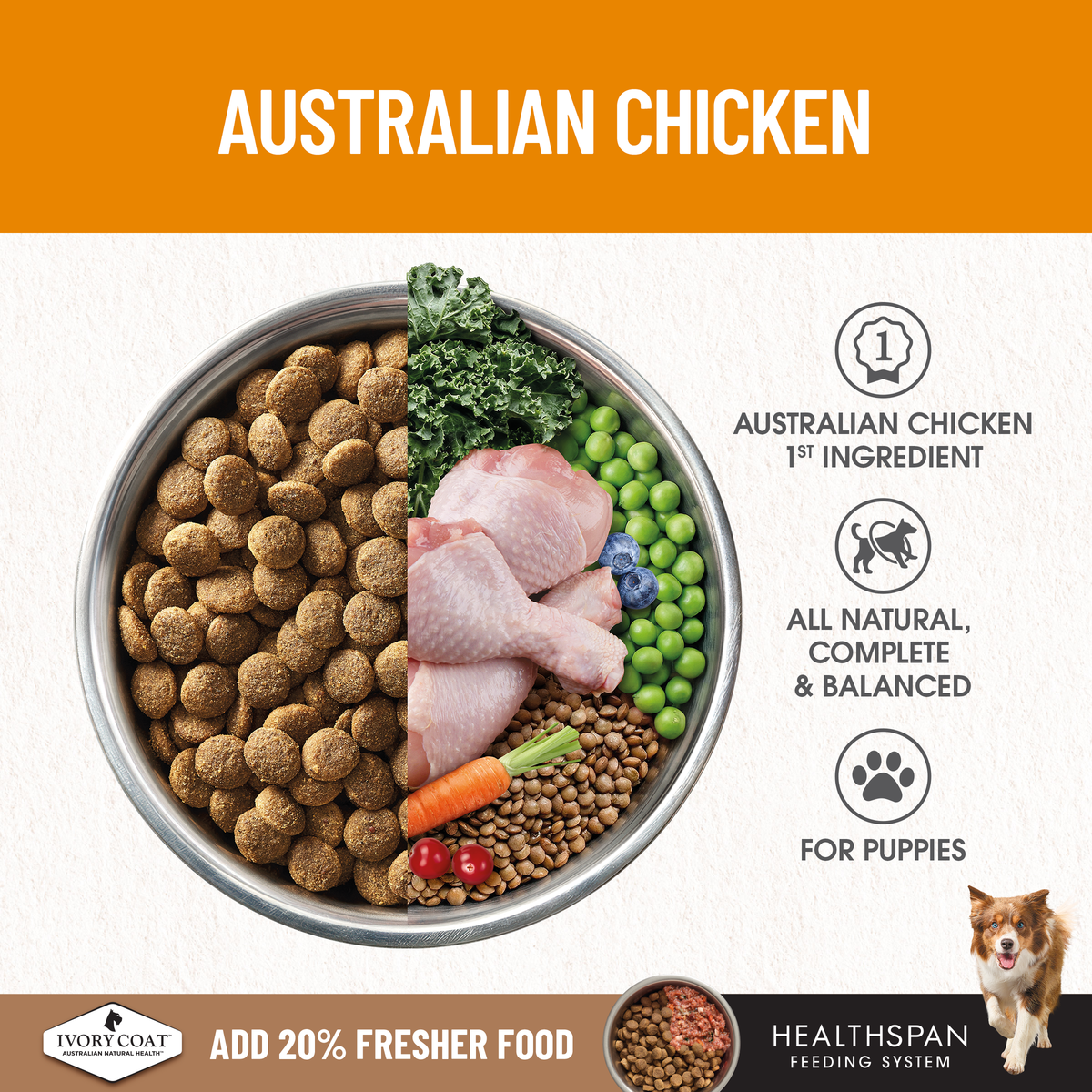 Ivory Coat Australian chicken as the first ingredient, shown with puppy kibble and vegetables