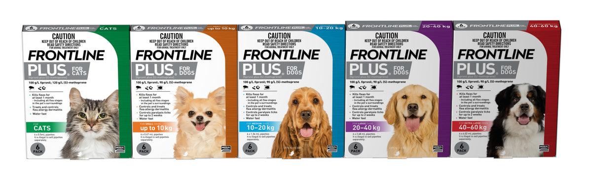 The Frontline Plus six-pipette range lined up: the cat pack and four dog weight bands