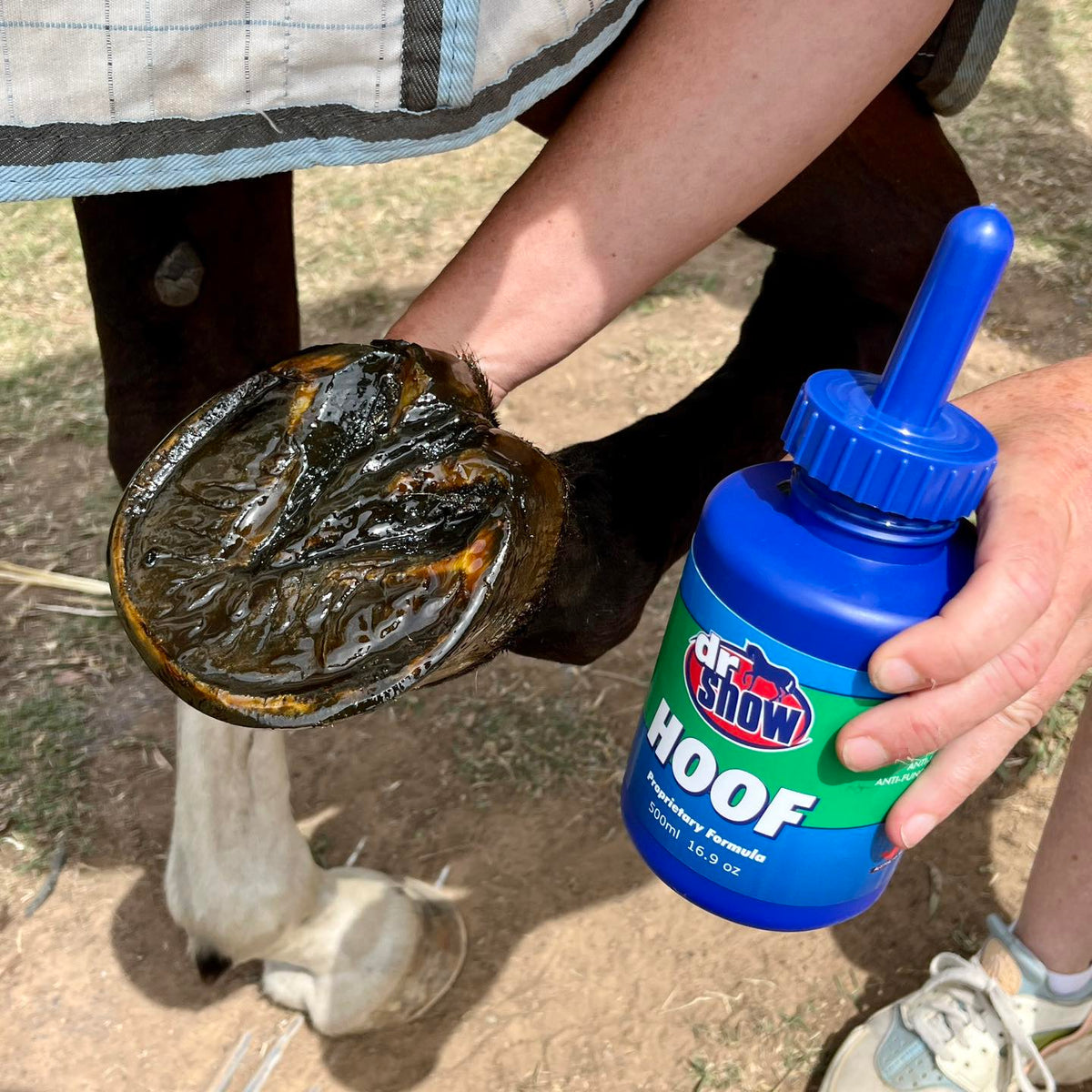 Dr Show HOOF 500ml hoof conditioner bottle with applicator brush