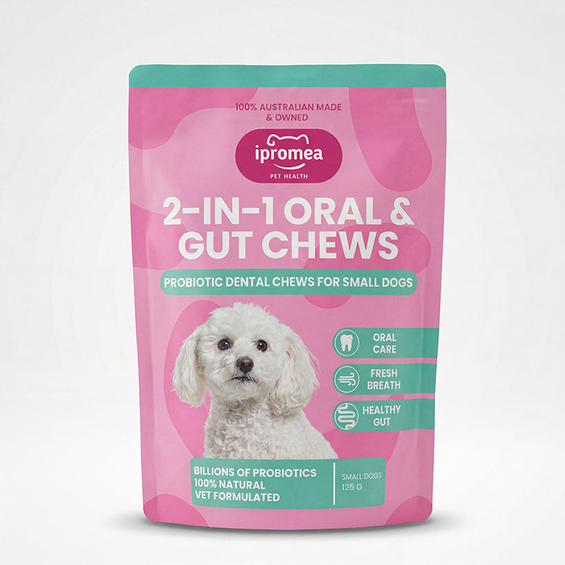 Ipromea 2 in 1 Oral & Gut Chews for Dogs