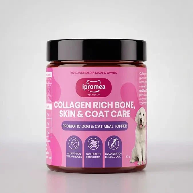 Ipromea Collagen Rich Bone, Skin & Coat Care for Dogs & Cats 60g