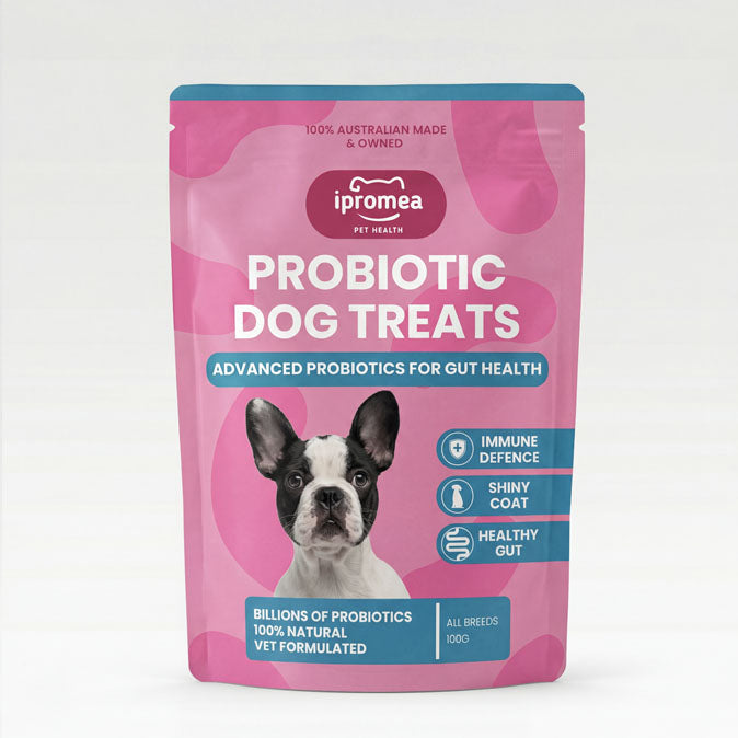 Ipromea Probiotic Dog Treats 100g