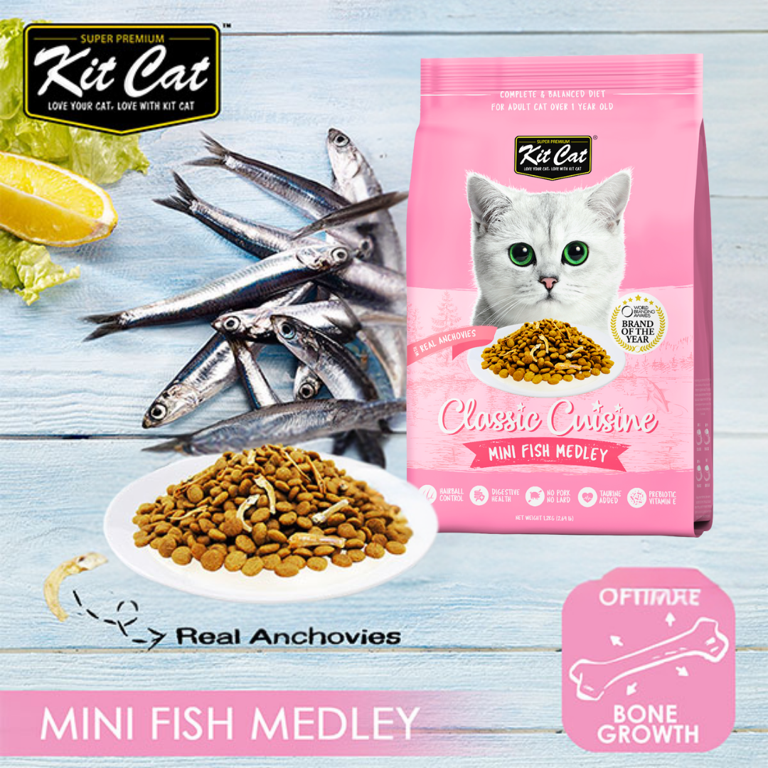 Kit Cat Mini Fish Medley dry cat food with dried anchovy banner