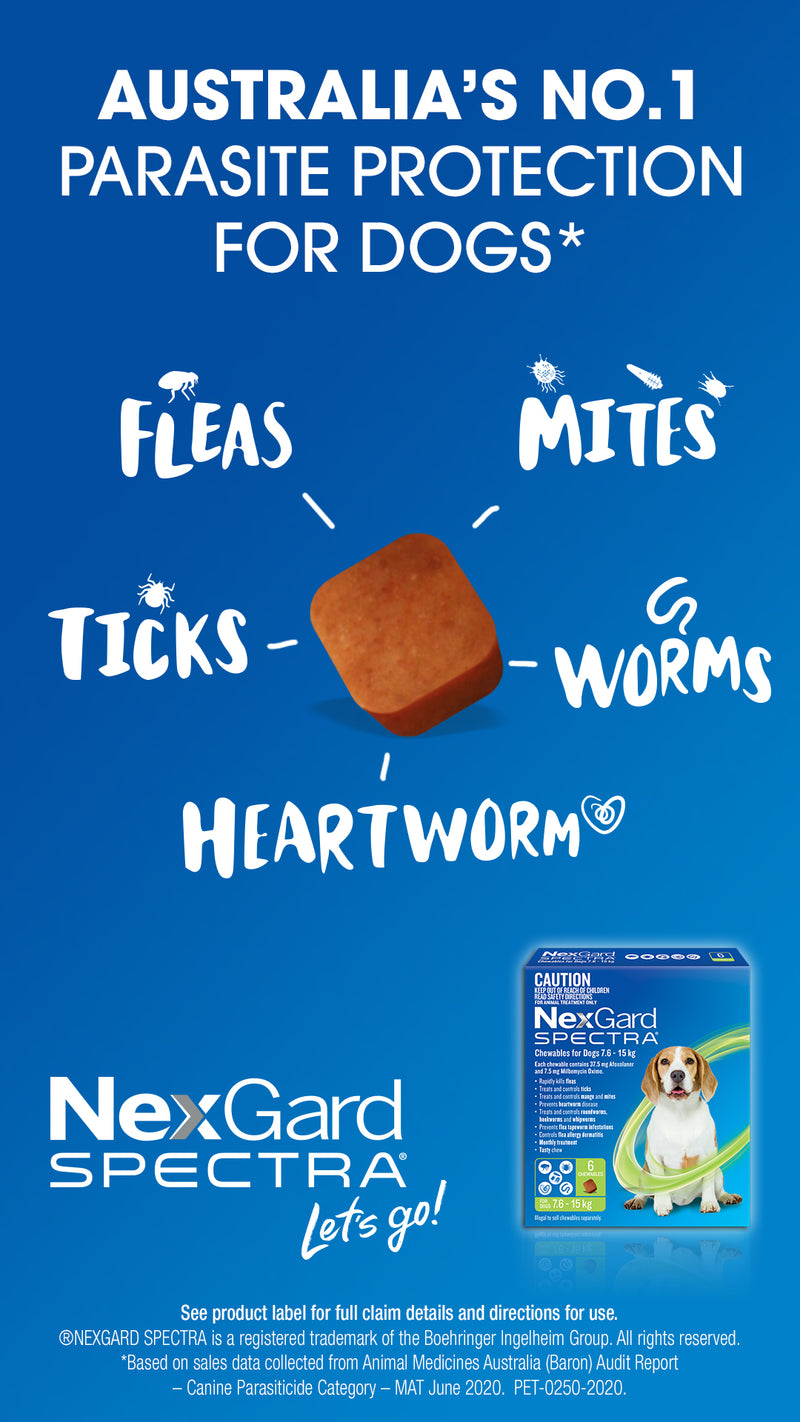 nexgard spectra very small dog No1
