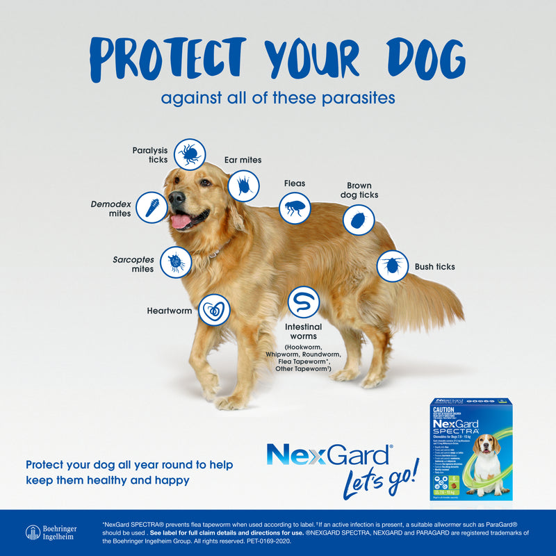 nexgard spectra medium dog protect