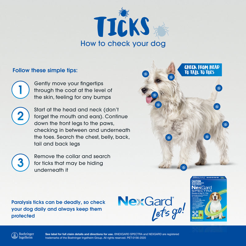 nexgard spectra small dog ticks