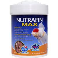 Nutrafin Max goldfish flakes in a 38g tub, orange label with an oranda goldfish