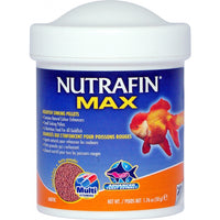 Nutrafin Max small goldfish sinking pellets in a 50g tub, an oranda goldfish on the label