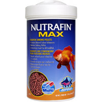 Nutrafin Max medium goldfish sinking pellets in a 210g tub, an oranda goldfish on the label