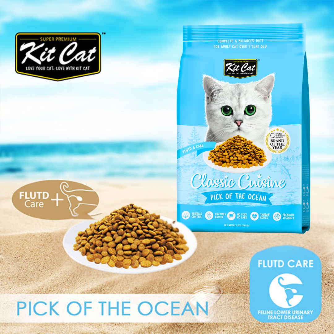 Kit Cat Pick of The Ocean urinary care dry cat food banner