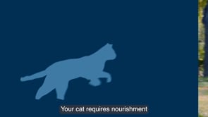 ORIJEN Biologically Appropriate Dry Cat Food Guardian Senior - 5.4kg | PeekAPaw Pet Supplies