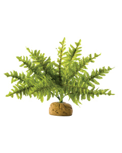 Exo Terra Boston Fern - Small 25cm | PeekAPaw Pet Supplies