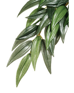 Exo Terra Forest Plant Ruscus - Medium | PeekAPaw Pet Supplies