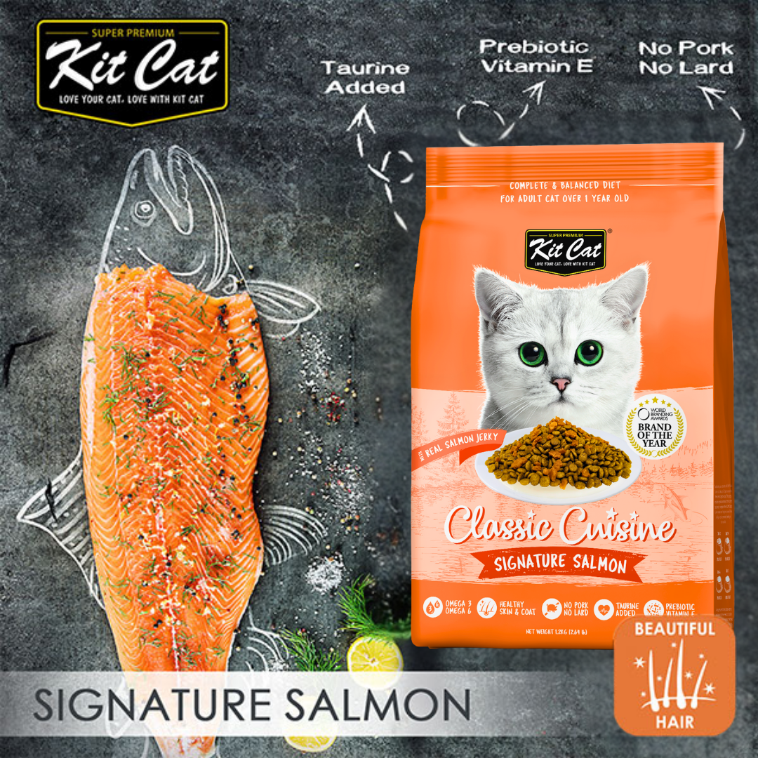 Kit Cat Signature Salmon dry cat food with real salmon jerky banner