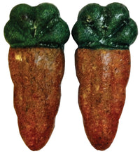 Veggie Patch Nibblers Carrots, two woven carrot-shaped small animal treats