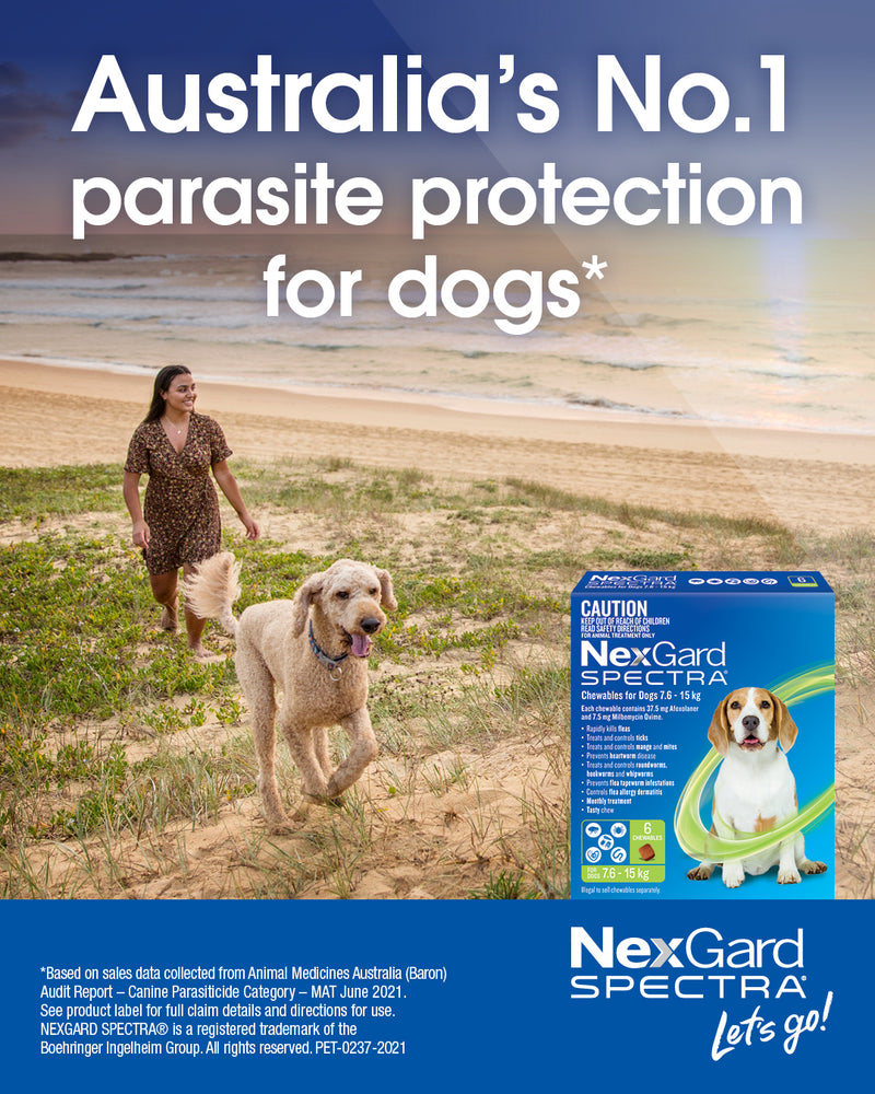 nexgard spectra very small dog No1 2