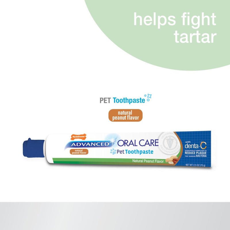 Nylabone Advanced Oral Care Natural Toothpaste Peanut