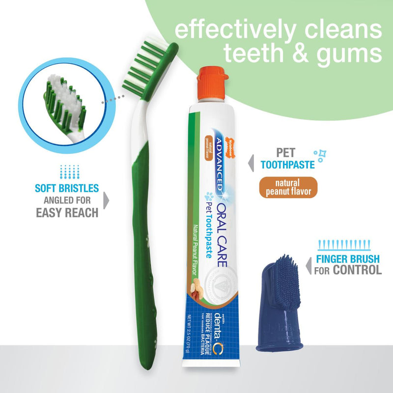 Nylabone Advanced Oral Care Natural Dog Dental Kit Peanut