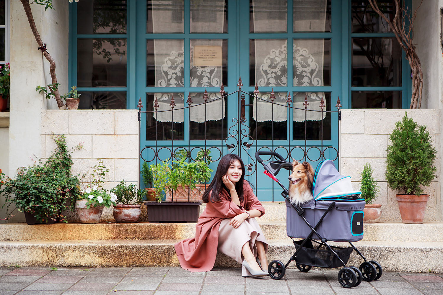 Ibiyaya Pet Buggy Stroller Travel Carriage 08