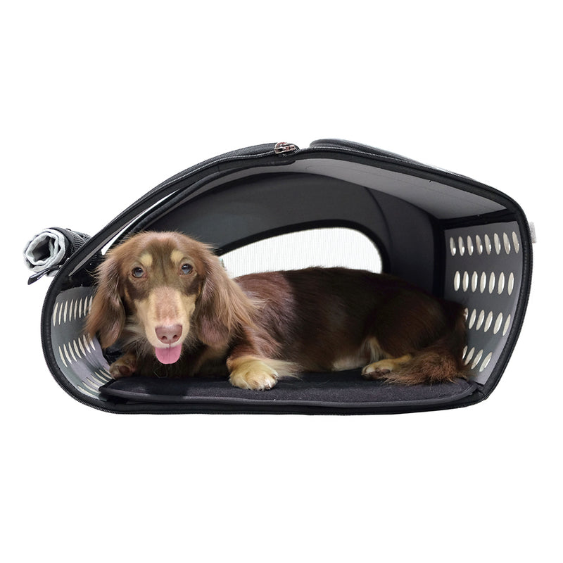 Ibiyaya Eva Pet Rolling Carrier Travel Bag with Wheels | PeekAPaw Pet Supplies