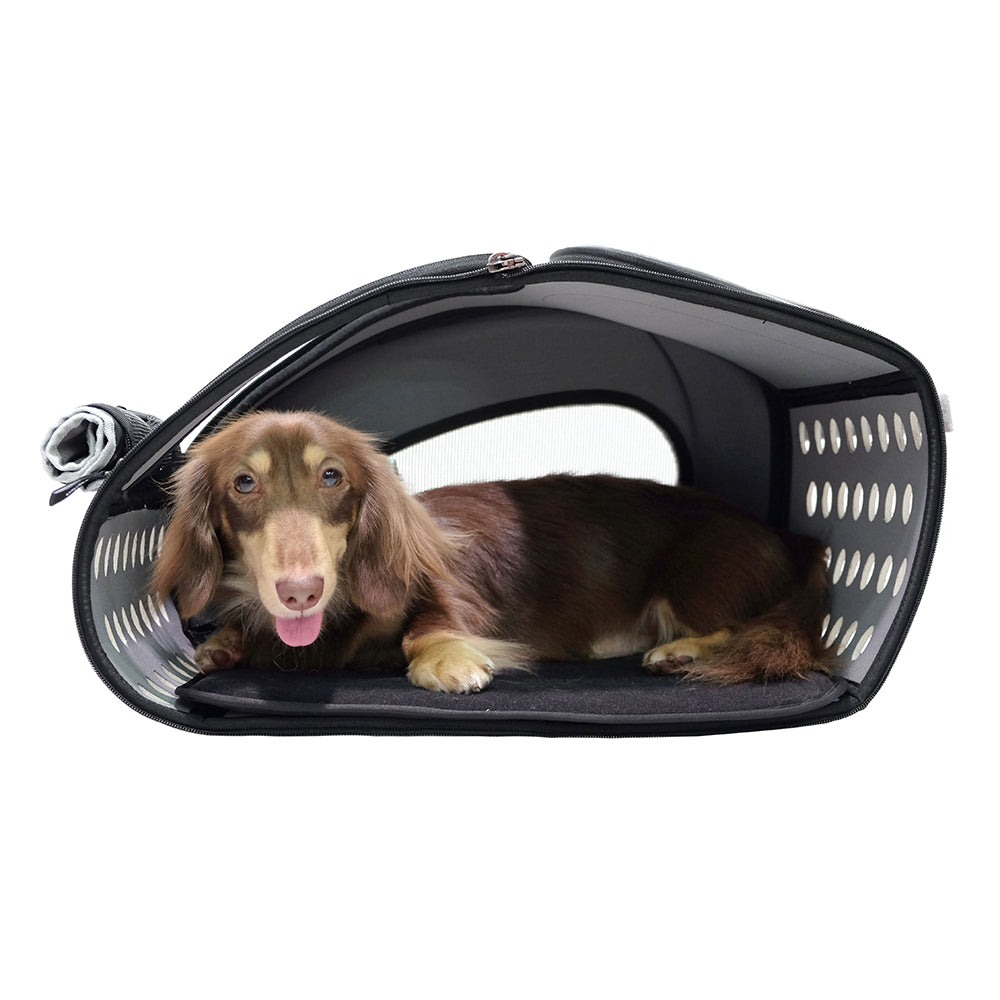 Ibiyaya Eva Pet Rolling CaIbiyaya Eva Pet Rolling Carrier Travel Bag with Wheels | PeekAPaw Pet Suppliesrrier Travel Bag with Wheels 07