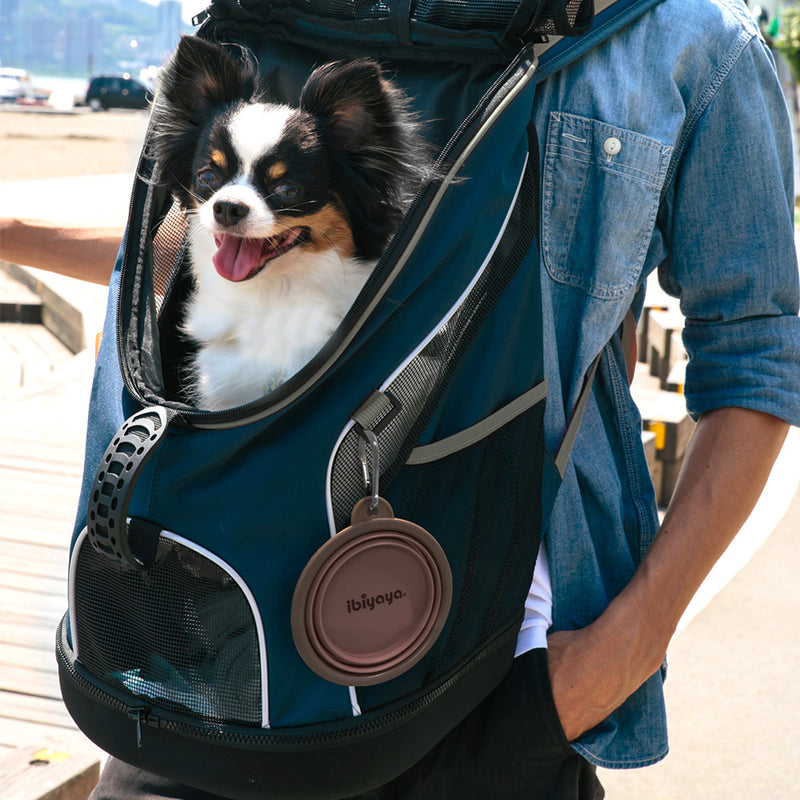 Ibiyaya Collapsible Travel Pet Bowl Premium Quality 08