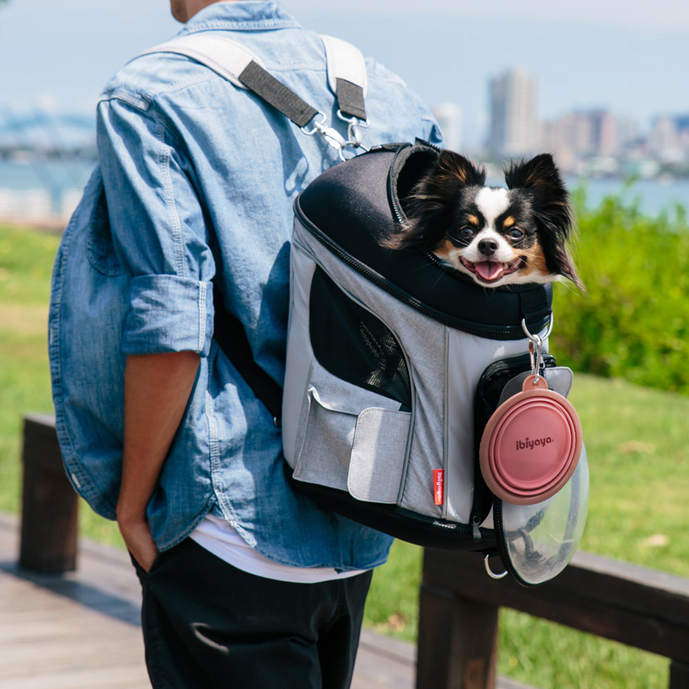 Ibiyaya Collapsible Travel Pet Bowl Premium Quality 14