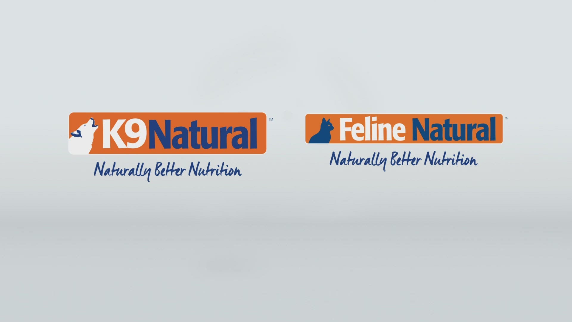 Feline Natural Freeze Dried Lamb & King Salmon Feast 05