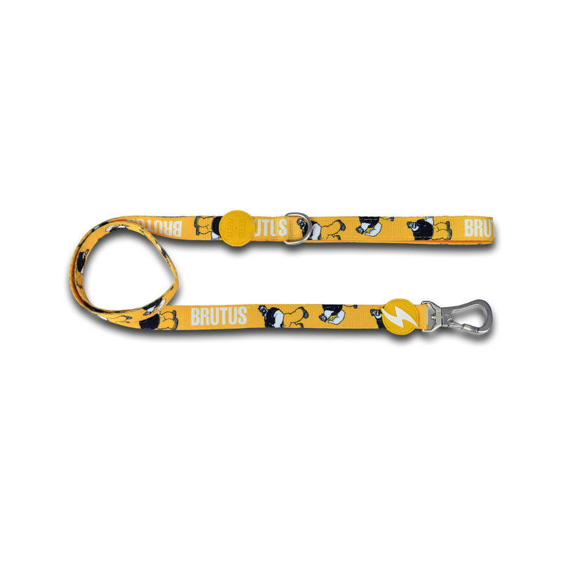 Dashi Dog Brutus Leash