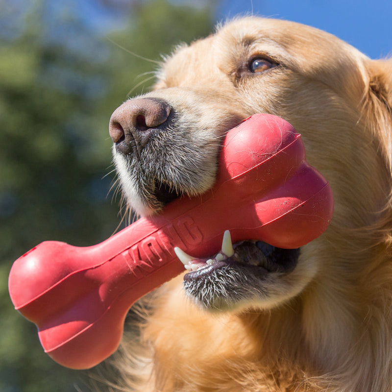 KONG Dog Toys Goodie Bone 06
