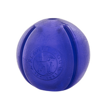 Planet Dog Orbee-Tuff Guru dog toy, a purple rubber ball embossed with the Planet Dog logo