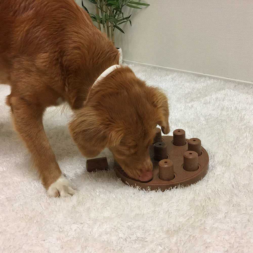 Nina Ottosson Dog Smart Composite - Level 1