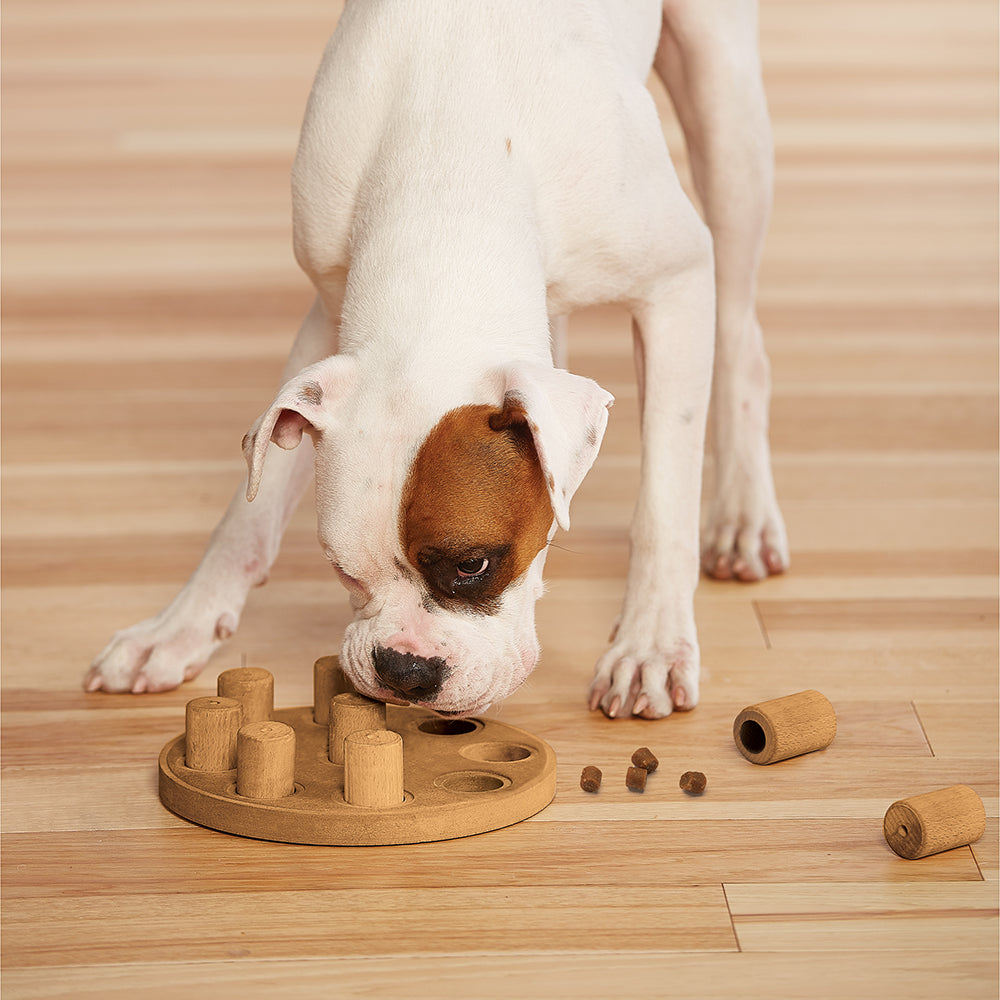 Nina Ottosson Dog Smart Composite - Level 1