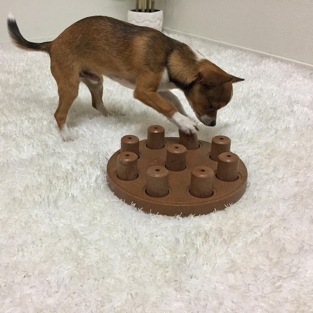 Nina Ottosson Dog Smart Composite - Level 1