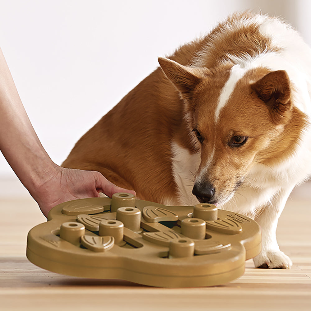 Nina Ottosson Dog Hide N Slide Composite - Level 2