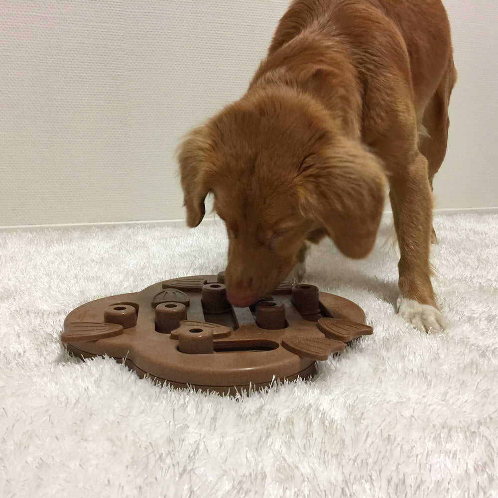 Nina Ottosson Dog Hide N Slide Composite - Level 2