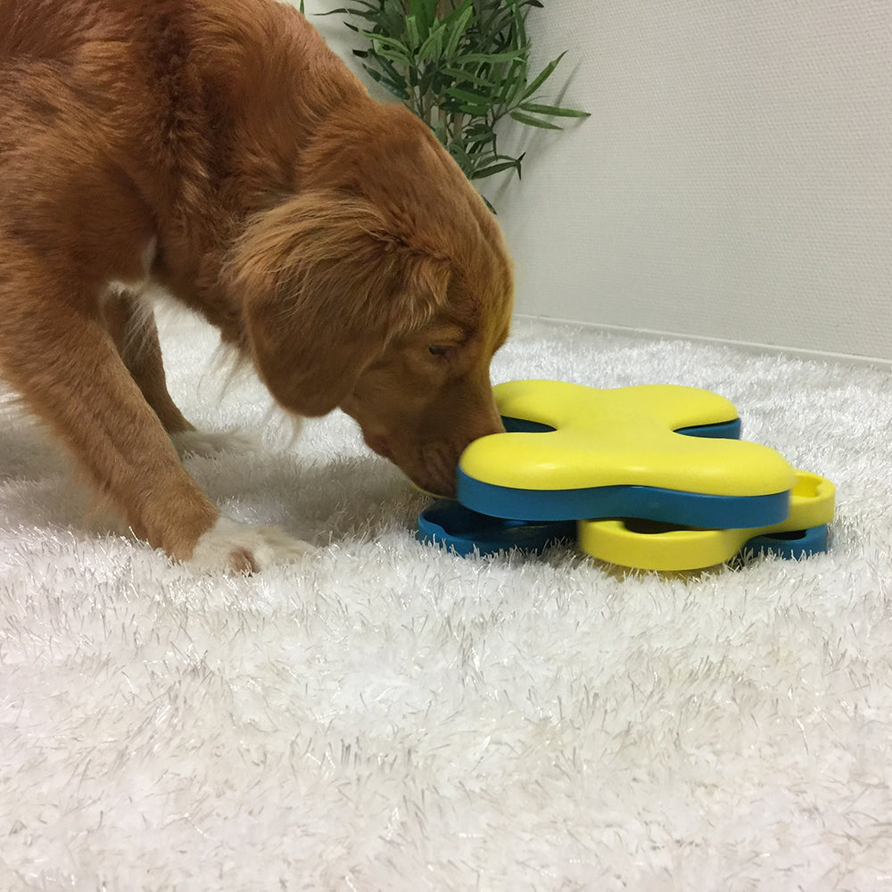 Nina Ottosson Dog Tornado - Level 2